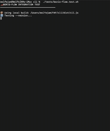 Boris-Flow Integration Test
